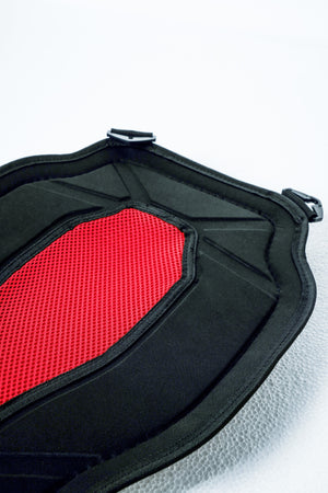 DH-015 Motorcycle back protector