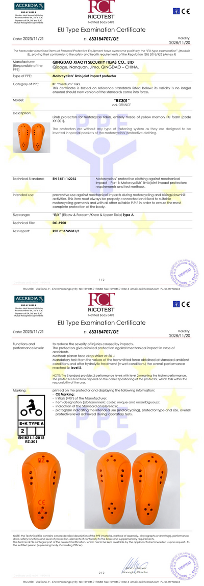 CE LEVEL 2 - RZ301